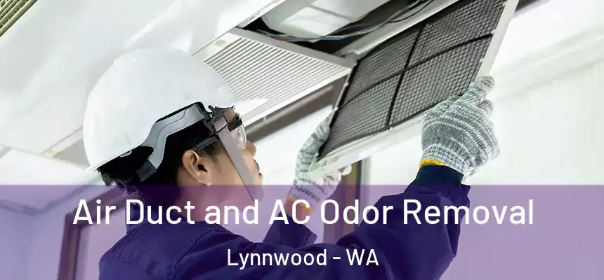 Air Duct and AC Odor Removal Lynnwood - WA