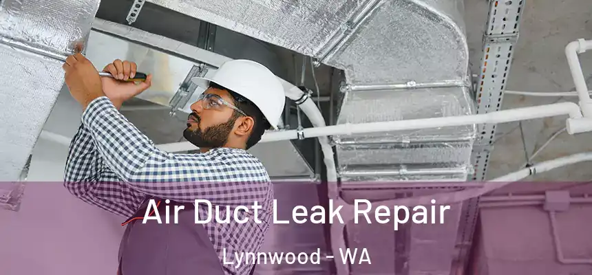  Air Duct Leak Repair Lynnwood - WA
