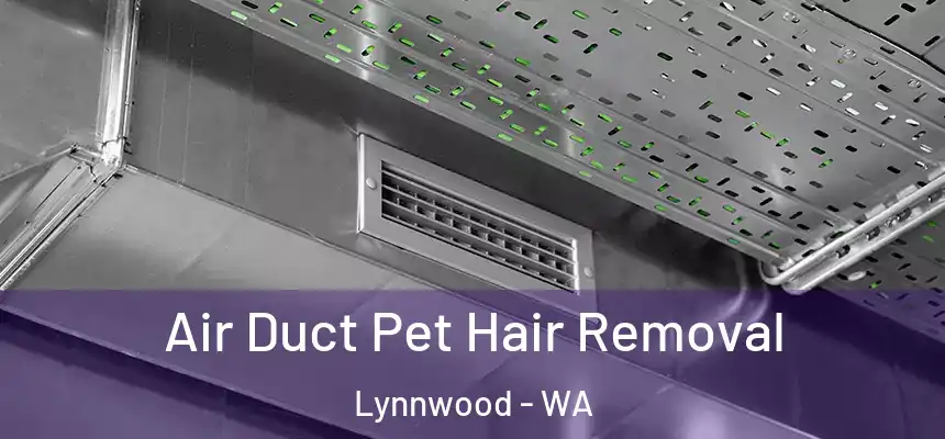  Air Duct Pet Hair Removal Lynnwood - WA