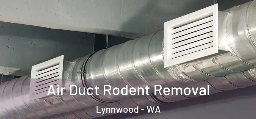  Air Duct Rodent Removal Lynnwood - WA