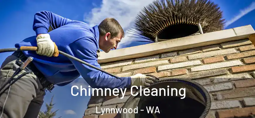  Chimney Cleaning Lynnwood - WA