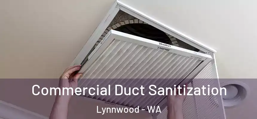  Commercial Duct Sanitization Lynnwood - WA