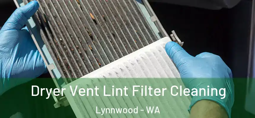  Dryer Vent Lint Filter Cleaning Lynnwood - WA