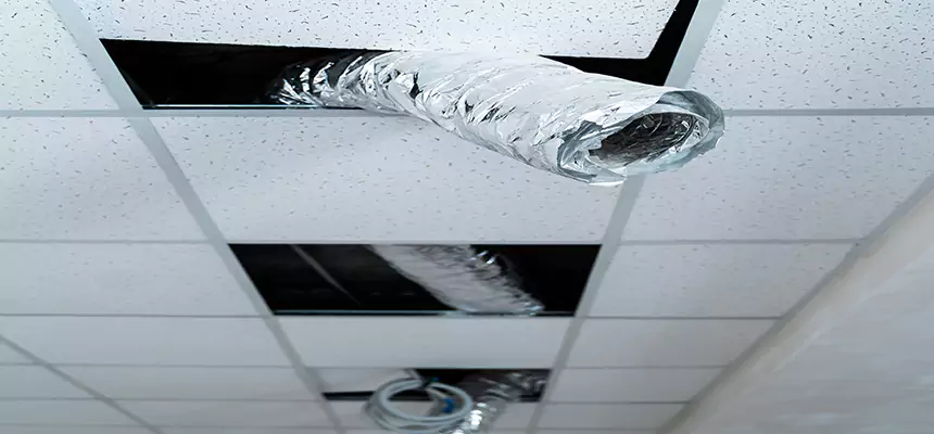 Affordable HVAC Sanitizing After Pest Removal in Lynnwood