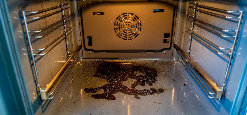 Our Dryer Vent Mold Cleaning Services in Lynnwood, WA