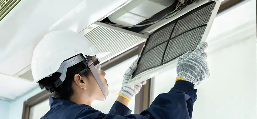 Our Lint Trap Cleaning Service Services in Lynnwood, WA