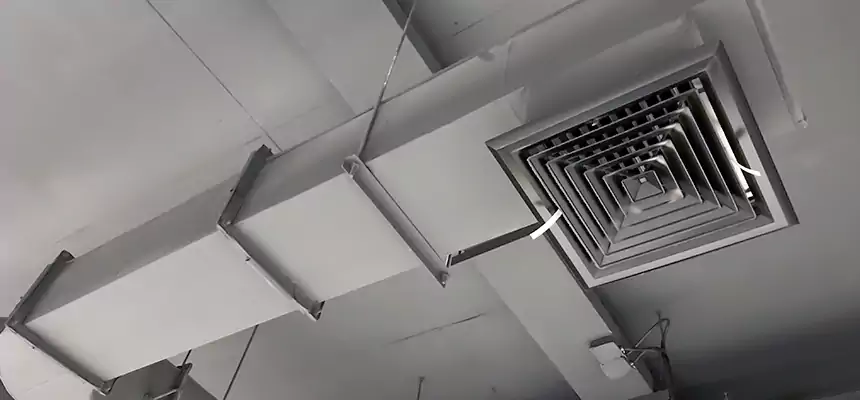 Our Pest Removal From Ducts Services in Lynnwood, WA