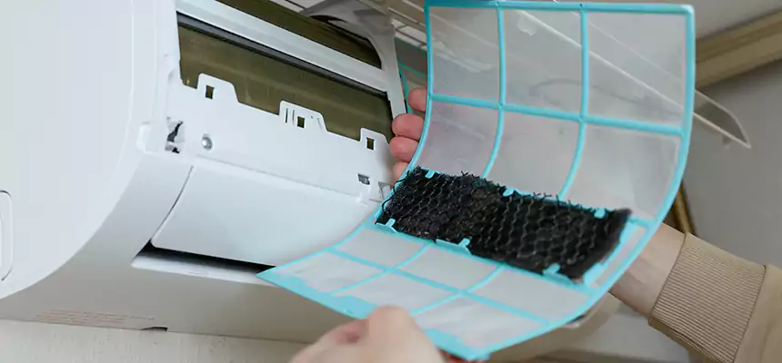 Gentle Ductwork Odor-Control Pet Dander Duct Cleaning in Lynnwood, WA