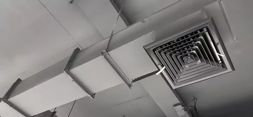 Our Rodent Droppings In Vents Services in Lynnwood, WA