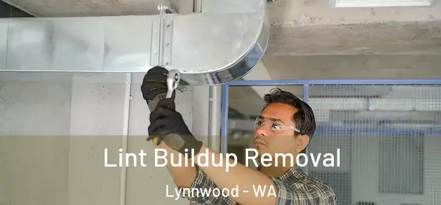  Lint Buildup Removal Lynnwood - WA