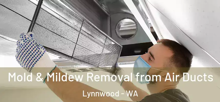  Mold & Mildew Removal from Air Ducts Lynnwood - WA