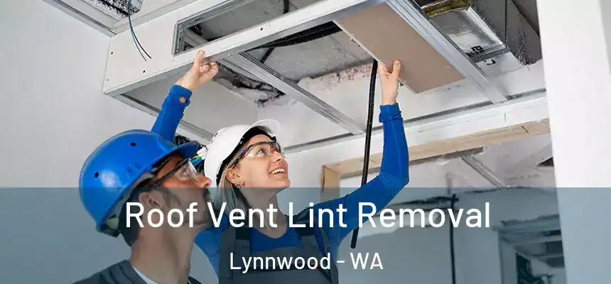  Roof Vent Lint Removal Lynnwood - WA