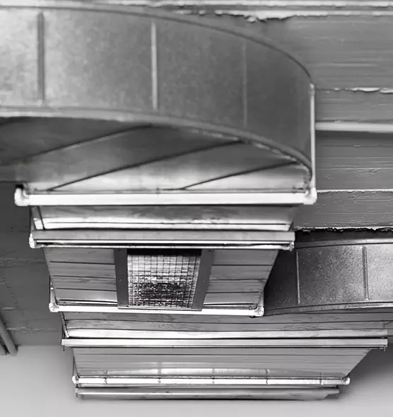 Professional Air Duct Pet Hair Removal in Lynnwood, WA