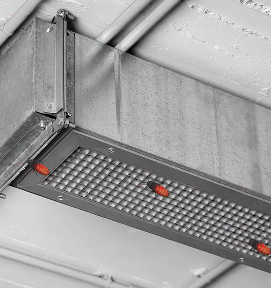 Affordable Insect Removal from Air Ducts in Lynnwood, WA