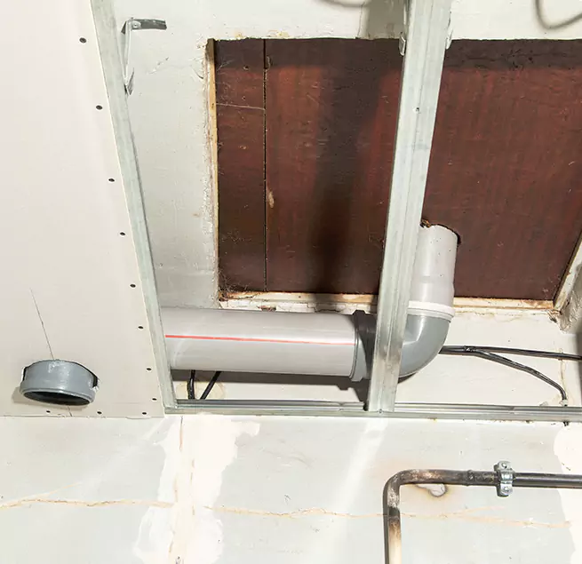 Why Homeowners & Businesses Trust Us in Lynnwood, WA?