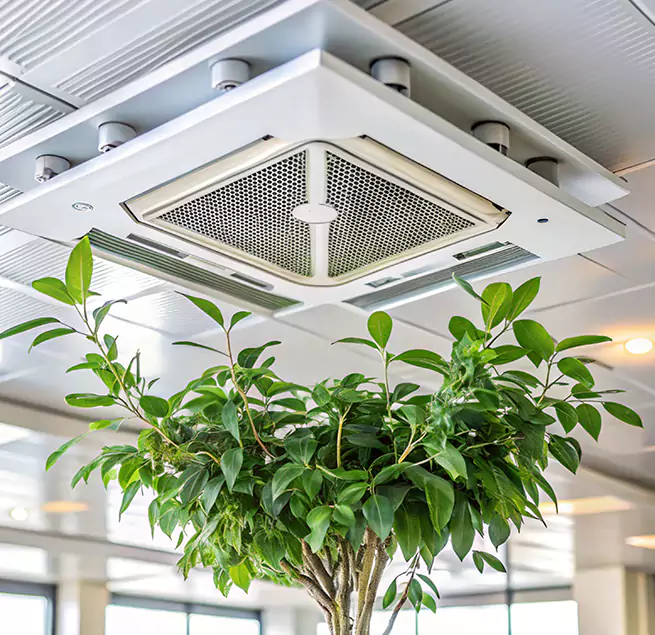 Why Homeowners & Businesses Trust Us in Lynnwood, WA?