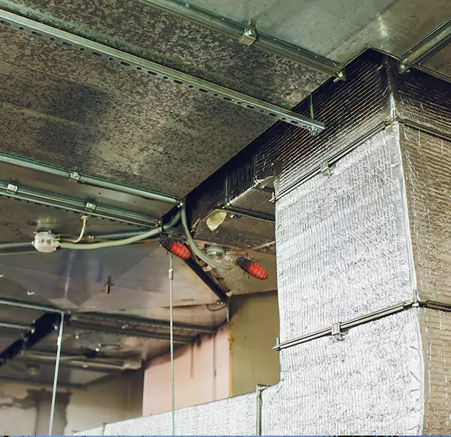 Why Homeowners & Businesses Trust Us Lynnwood, WA?