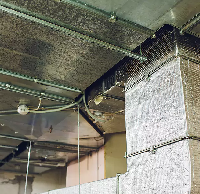 Why Homeowners & Businesses Trust Us in Lynnwood, WA?